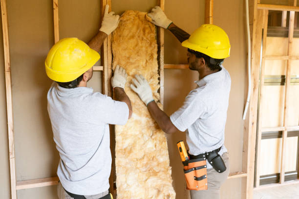 Best Spray Foam Insulation  in Basehor, KS