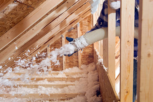 Professional Insulation Services in Basehor, KS